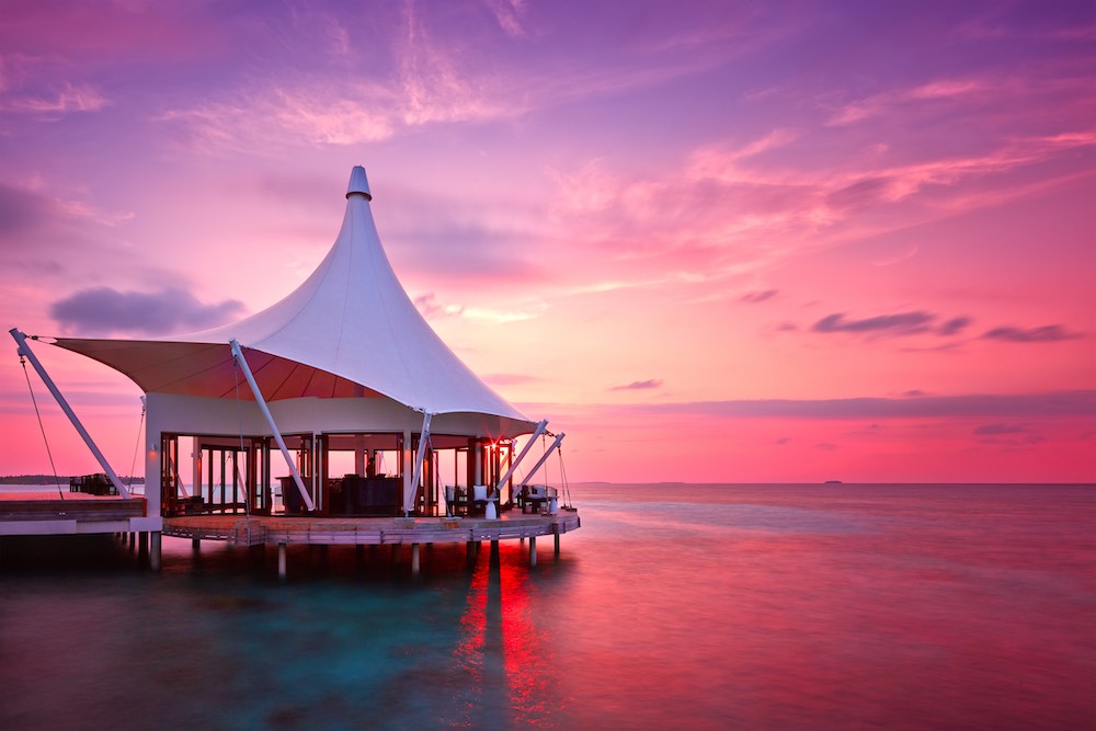 Edge at Niyama Private Islands thumbnail 3